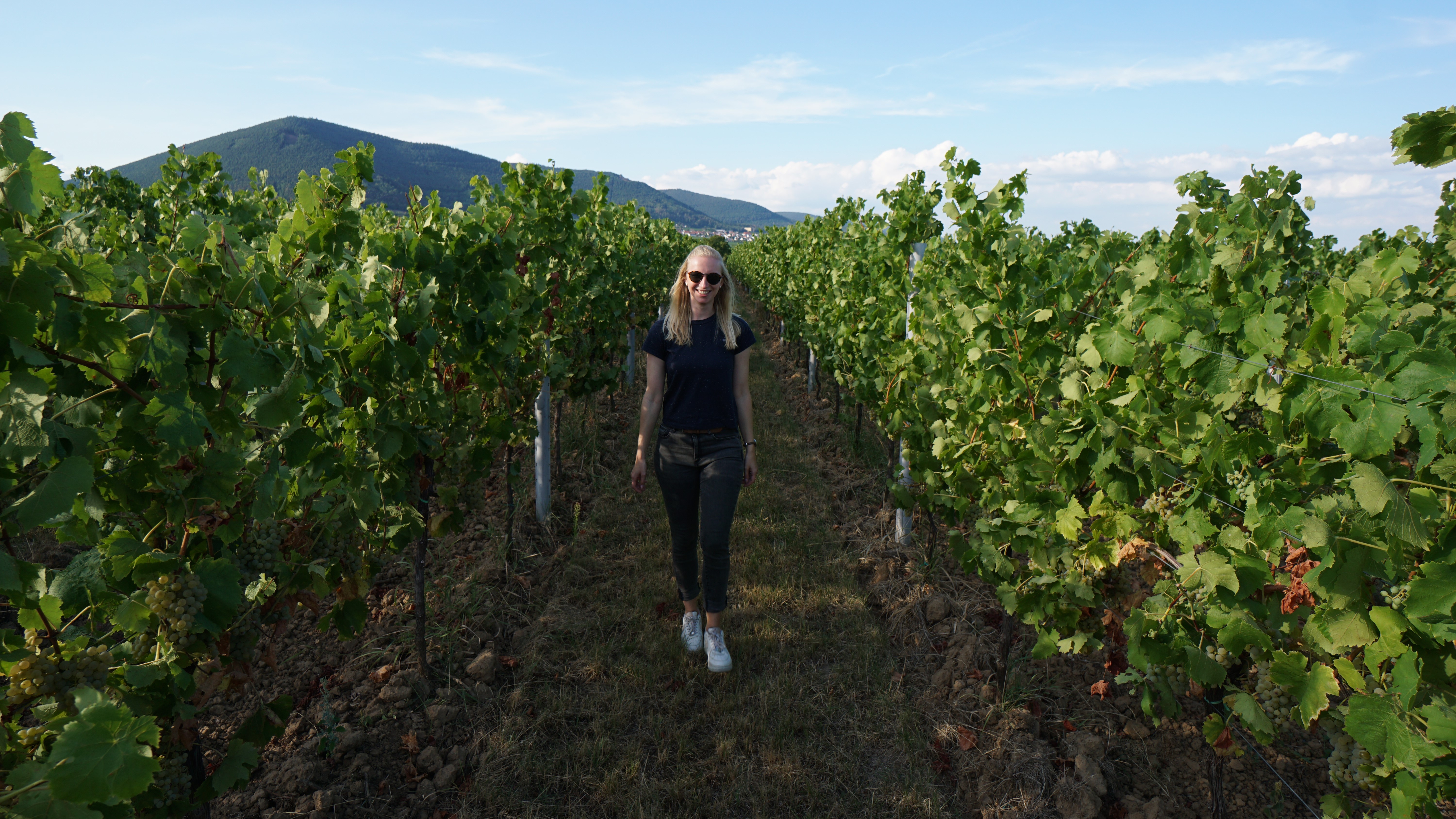 Sommilou Over mij in de wijngaard