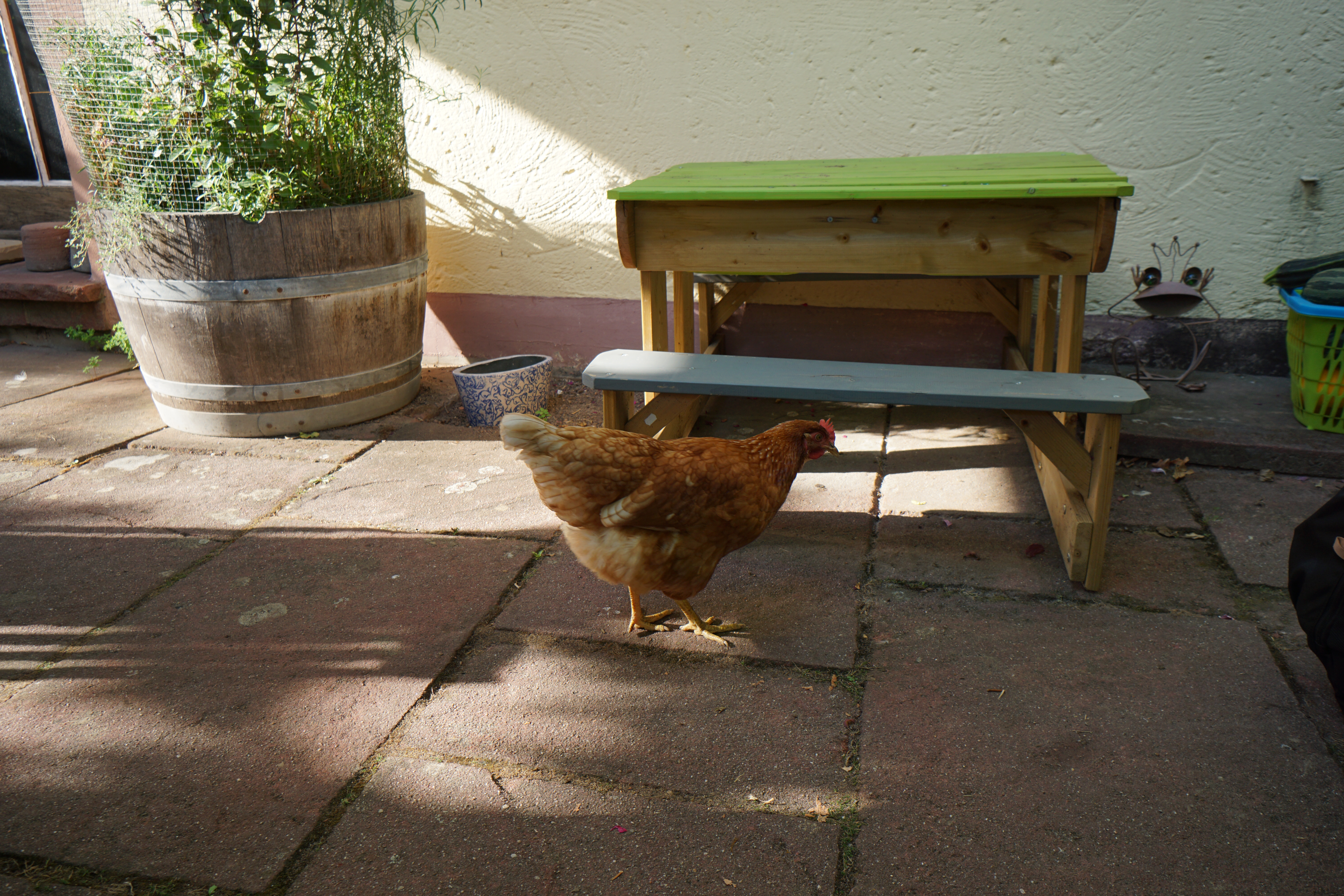 WeingutTheoMingesKip