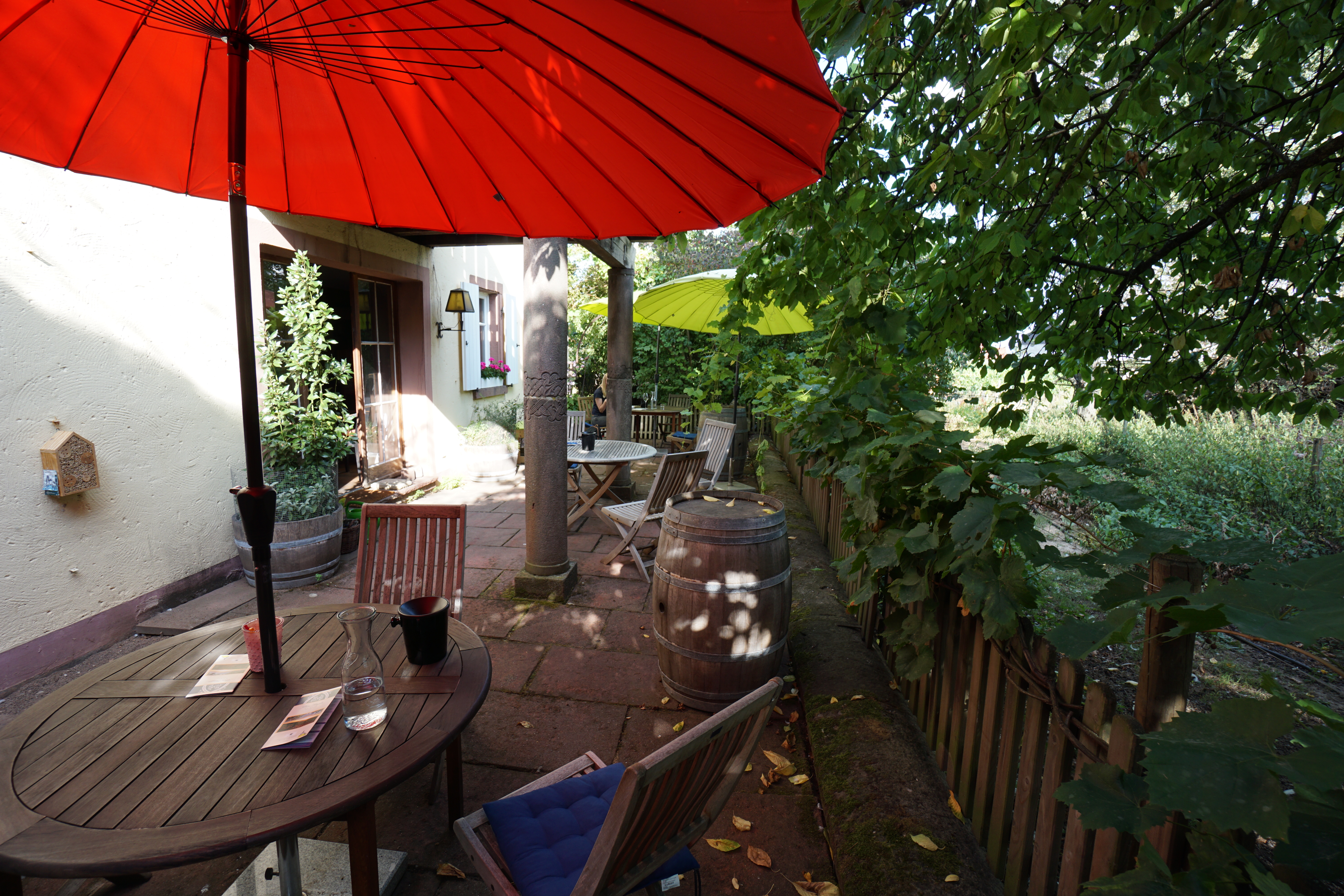 WeingutTheoMingesTerras